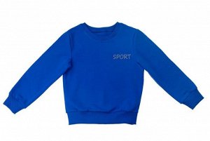 Джемпер детский для мальчика с принтом (2580) Sport цвет Синий (НАШЕ)