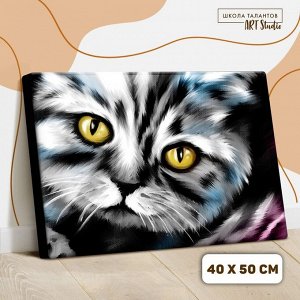 Картина по номерам на холсте с подрамником «Котик» 40х50 см