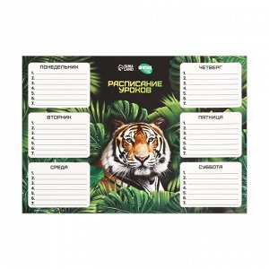 Расписание уроков «Величественный тигр» А4