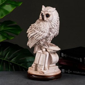 Фигурка гипс «Сова с книгой на подставке», 18x21x34 см, состаренная