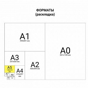 Тетрадь 12 листов ЗЕЛЁНАЯ обложка, КЛЕТКА с полями, офсет, "ПЗБМ", 19995