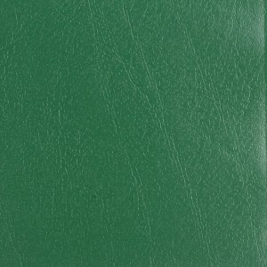 Тетрадь 48 листов бумвинил А5. скоба, офсет №2 ЭКОНОМ, КЛЕТКА, с полями, STAFF, ЗЕЛЕНЫЙ, 403412