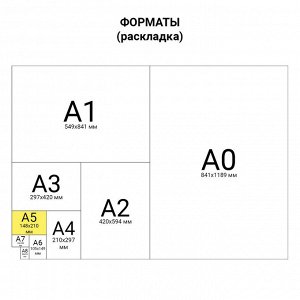 Тетрадь 96л., КЛЕТКА, бумвинил А5 скоба, офсет №1, с полями, STAFF, ЗЕЛЕНЫЙ, 403417