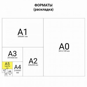 Сменный блок для тетради на кольцах А5 120 л., BRAUBERG, ПОВЫШЕННОЙ ПЛОТНОСТИ, кремовый, 403639