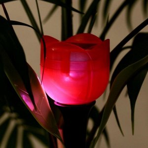 Садовый светильник на солнечной батарее «Тюльпан красный», 4.5 x 29 x 4.5 см, 1 LED, свечение белое