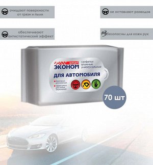 Салфетки влажные для автомобиля, универсальные Эконом Smart , 70 штук