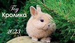 Календарь Год кролика 2023