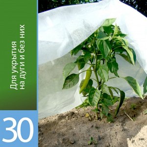 Упаковка АГРОТЕКС 30 (3,2м*10м) 1/16