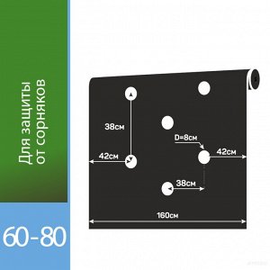 АГРОТЕКС ЧЕРНЫЙ 60 ПЕРФОРИРОВАННЫЙ (1,6м*10м) 1/16