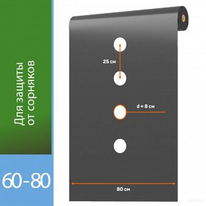 АГРОТЕКС ЧЕРНЫЙ 60 ПЕРФОРИРОВАННЫЙ (1,6м*10м) 1/16