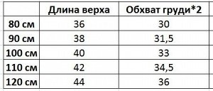 Ветровка детская двусторонняя с принтом сзади, цвет синий