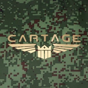 Термосумка Cartage Т-18, камуфляж пиксель, 18 л, 35х21х24 см