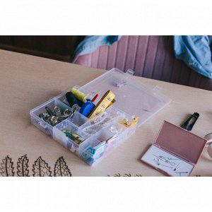 Органайзер для хранения мелочей, 14 ячеек, 21*17*4 см, прозрачный