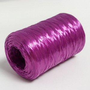 Пряжа "Для вязания мочалок" 100% полипропилен 400м/100±10 гр в форме цилиндра (слива)