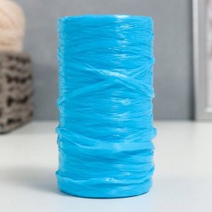 Пряжа "Для вязания мочалок" 100% полипропилен 300м/75±10 гр (голубой)