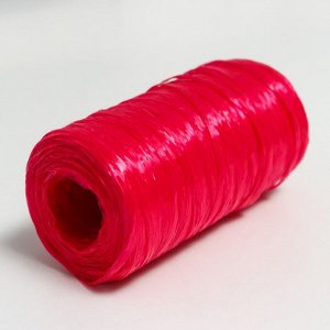Пряжа "Для вязания мочалок" 100% полипропилен 300м/75±10 гр в форме цилиндра (рубин)