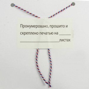 Нить х/б для прошивки документов, ТРИКОЛОР, диаметр 1,6 мм, длина 120 м, смен.блок, BRAUBERG, 601814