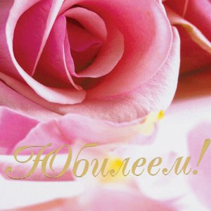 Папка адресная ламинированная "С ЮБИЛЕЕМ!", А4, розы, индивидуальная упаковка, STAFF Profit, 129584