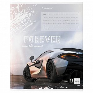 Тетрадь 18 листов, КЛЕТКА, BRAUBERG, обложка картон, SPORTS CAR , 106479