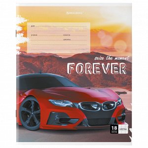Тетрадь 18 листов, КЛЕТКА, BRAUBERG, обложка картон, SPORTS CAR , 106479