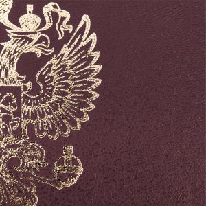 Папка адресная бумвинил с гербом России, А4, бордовая, индивидуальная упаковка, STAFF Basic, 129576