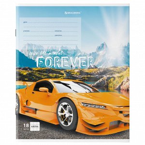 Тетрадь 18 листов, КЛЕТКА, BRAUBERG, обложка картон, SPORTS CAR , 106479
