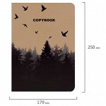 Тетрадь 60 листовB5 (179х250мм) сшивка клетка КРАФТ, 70г/м, FOREST, BRAUBERG, 403807