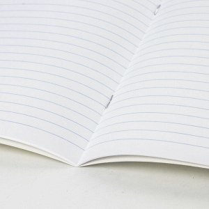 Тетрадь 12 листов, ЛИНИЯ, BRAUBERG обложка картон, ТОЧКИ, 103027