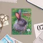 Календарь отрывной на магните &quot;Символ 2023 Года!&quot; 13х9,5см, кролик в траве