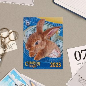 Календарь отрывной на магните "Символ Года 2023" 13х9,5см, кролик, купюры