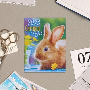 Календарь отрывной на магните "2023 Символ Года!" 13х9,5см, кролик, ваза