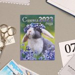 Календарь отрывной на магните &quot;Символ 2023 Года!&quot; 13х9,5см, кролик, цветы 7871091