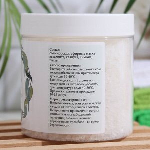 Соль для ванн "СпивакЪ", эвкалипт, 600 г