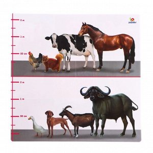 Набор фигурок животных с обучающими карточками «Домашние животные»