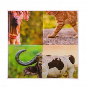 IQ-ZABIAKA Развивающий набор «Домашние животные»