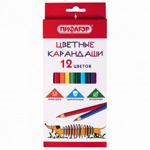 Карандаши цветные 12 цветов, ПИФАГОР "Веселая такса", классические, заточенные, 181806