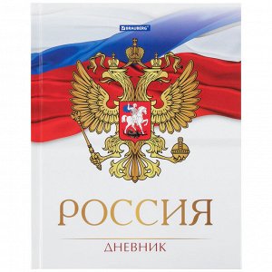 Дневник школьный 5-11 класс 48 листов, твердый, BRAUBERG, глянцевая ламинация, с подсказом, Символика 2, 106067