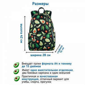 Рюкзак школьный STERNBAUER с принтом и внешним карманом 20916032