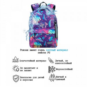 Рюкзак школьный STERNBAUER с принтом и внешним карманом 20916005