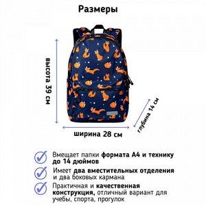 Рюкзак школьный STERNBAUER с принтом и внешним карманом 20915014