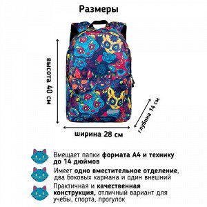 Рюкзак школьный STERNBAUER с принтом и внешним карманом 20916002