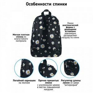 Рюкзак школьный STERNBAUER с принтом и внешним карманом 20915022