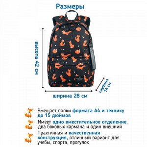 Рюкзак школьный STERNBAUER с принтом и внешним карманом 20916020