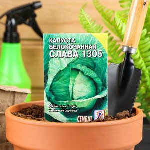 Семена Капуста белокачанная "Слава 1305", 1 г