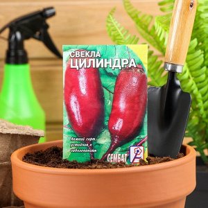 Семена Свекла "Цилиндра", 1 г