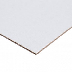 Набор картона переплетного 30 х 30 см, 10 листов, Х LINE (сенгвич), 2.5 мм, 950 г/м2 белый