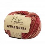Пряжа FIBRA NATURA SENSATIONAL