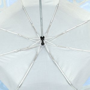 Зонт облегченный, 350гр, автомат, 102см, FABRETTI UFLS0023-12