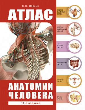 Лёвкин С.С. Атлас анатомии человека