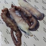 Щупальца осьминога